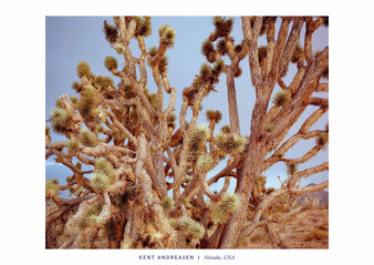 Nevada, United States