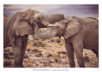 Western Cape, South Africa