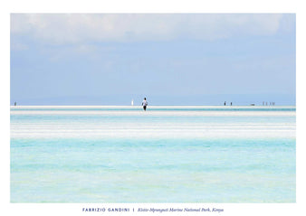 Kisite-Mpunguti Marine National Park, Kenya