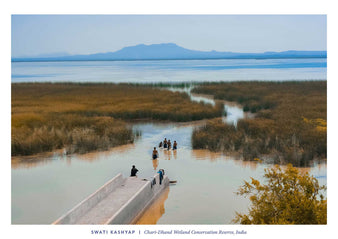 Chari-Dhand Wetland Conservation Reserve, India