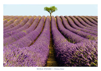 Provence, France