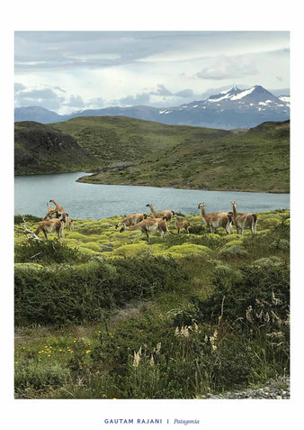 Patagonia